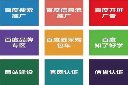 某企业通过百度推广服务费实现品牌飞跃